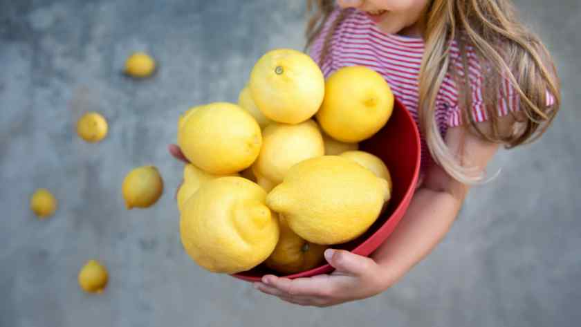 Лимон из косточки в домашних условиях